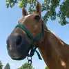 Sarah Raymer Ertel - @sarahraymerertel - TikTok