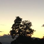Sarah Green-Reames - @sm5979 - Instagram