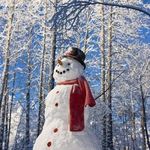 Sarah Green-Reames - @greenreames - Instagram