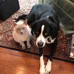 Sarah Reames - Facebook