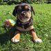 Sarah Rech - Facebook