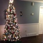 Sarah Reimer - @sreimer1946 - Instagram