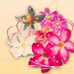 @sarah_reimer_happyness - Instagram