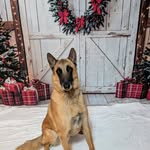 Sara Remley Andersen - @penderrelay - Instagram
