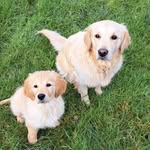 Sarah John-ringe - @sarahjohnringe - Instagram
