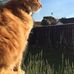 Sarah Rinker - Facebook