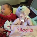 Sarah Robillard - @adorable.cuteness.forever - Instagram