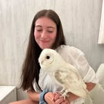 Sarah-Maude Robitaille - @sarahm_robitaille - Instagram