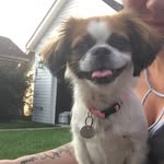 Sarah Robitaille - @sarah.grooming - Instagram