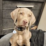 Sara Roesler - @brokenjweims - Instagram
