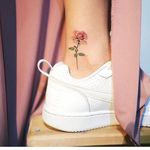 Sarah Rollo - @sarahsellingrenting - Instagram