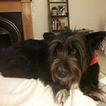 Sarah Ruddy - @ruddy2350 - Instagram