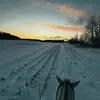 sarah_ruff14 - @sarah_ruff14 - TikTok