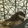 Ruggles - @sarahdruggles - TikTok
