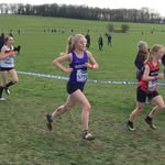 Sarah 🙈 - @sarah_running5 - Instagram