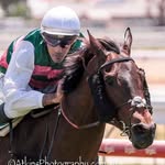 Sarah Rutten Racing - @sarahruttenracing - Instagram