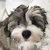 sarahrutt13 - @sarahrutt13 - TikTok