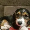 sarahtrutt - @sarahtrutt - TikTok