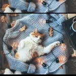 Sarah Sabry - @sarah.sabry.3511 - Instagram