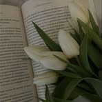 Sarah Samman - Facebook