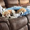 Sarah Sanborn - @sarahsanborn1 - TikTok