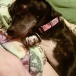 Sarah Jade Sappington - Facebook