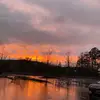 sarah.sapp8 - @sarah.sapp8 - TikTok