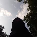 Sarah sarkar - @sarahsarkar37 - Instagram