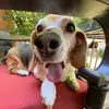 sarahsaylor - @sarahsaylor - TikTok