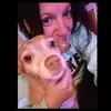Sarah Scheer - @sarah.scheer7 - TikTok
