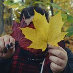 Sarah Scheffler - @erichtin2_80_co - Instagram