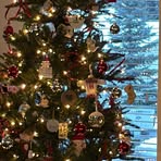 Sarah Schell - Facebook
