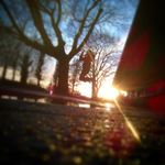 sarah schipper - @sarah_regenboog - Instagram