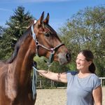 Sarah Schober - @leichtigkeit.pferd - Instagram
