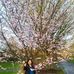 Sarah Schulte - Facebook