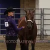 Sarah.Schuman - @sarahs.schuman - TikTok