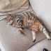 Sarah Sealey - Facebook