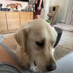 Sarah Seeman - Facebook