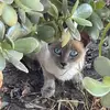 sarahsegundo623 - @sarahsegundo623 - TikTok