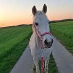 Sarah selig - @_sarah_6822_ - Instagram