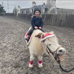 Sarah Sergeant - @sarahsergeant - Instagram