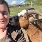 Sarah- Worksop dog walking & drop in service - @sarahsanimalservices - Instagram