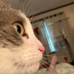 Sara Settlemyer - @ormirian - Instagram