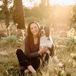 Sarah Sharp Dog Groomer - @doggroomersarahsharp - Instagram