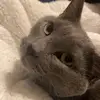 Sarah - @sarahshippy626 - TikTok