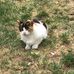 Sara Shuster - Facebook