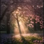 Sarah Siegrist - Facebook
