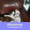sarahsimcox - @sarahsimcox - TikTok