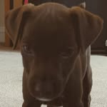 Sarah Simper - @simpersarah - Instagram