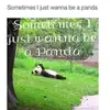 Sarah Slusher - @sarah.slusher - TikTok